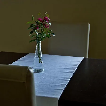 Haydnuv Dum Dolní Lukavice