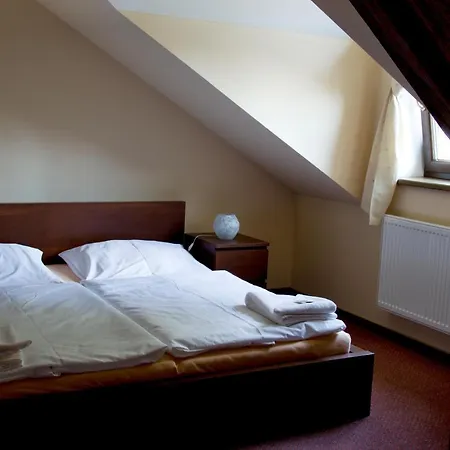 Guest house Haydnuv Dum 3*