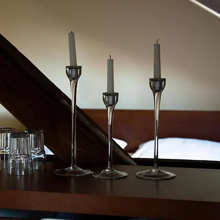 בית הארחה Haydnuv Dum 3*