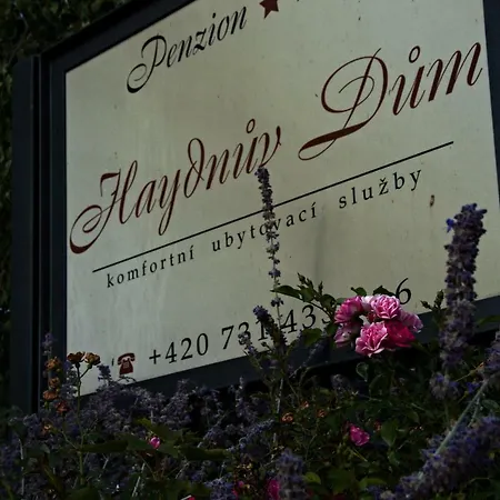 Haydnuv Dum Πανσιόν